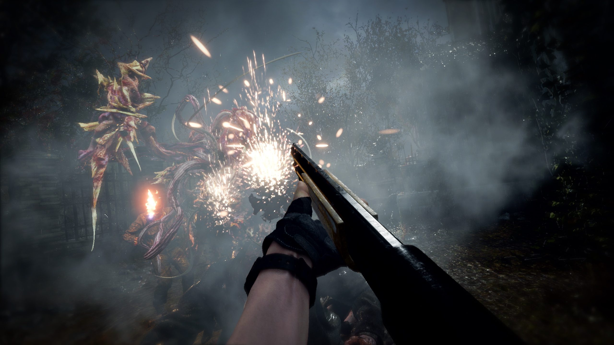 Resident Evil 4 VR - изображение 3