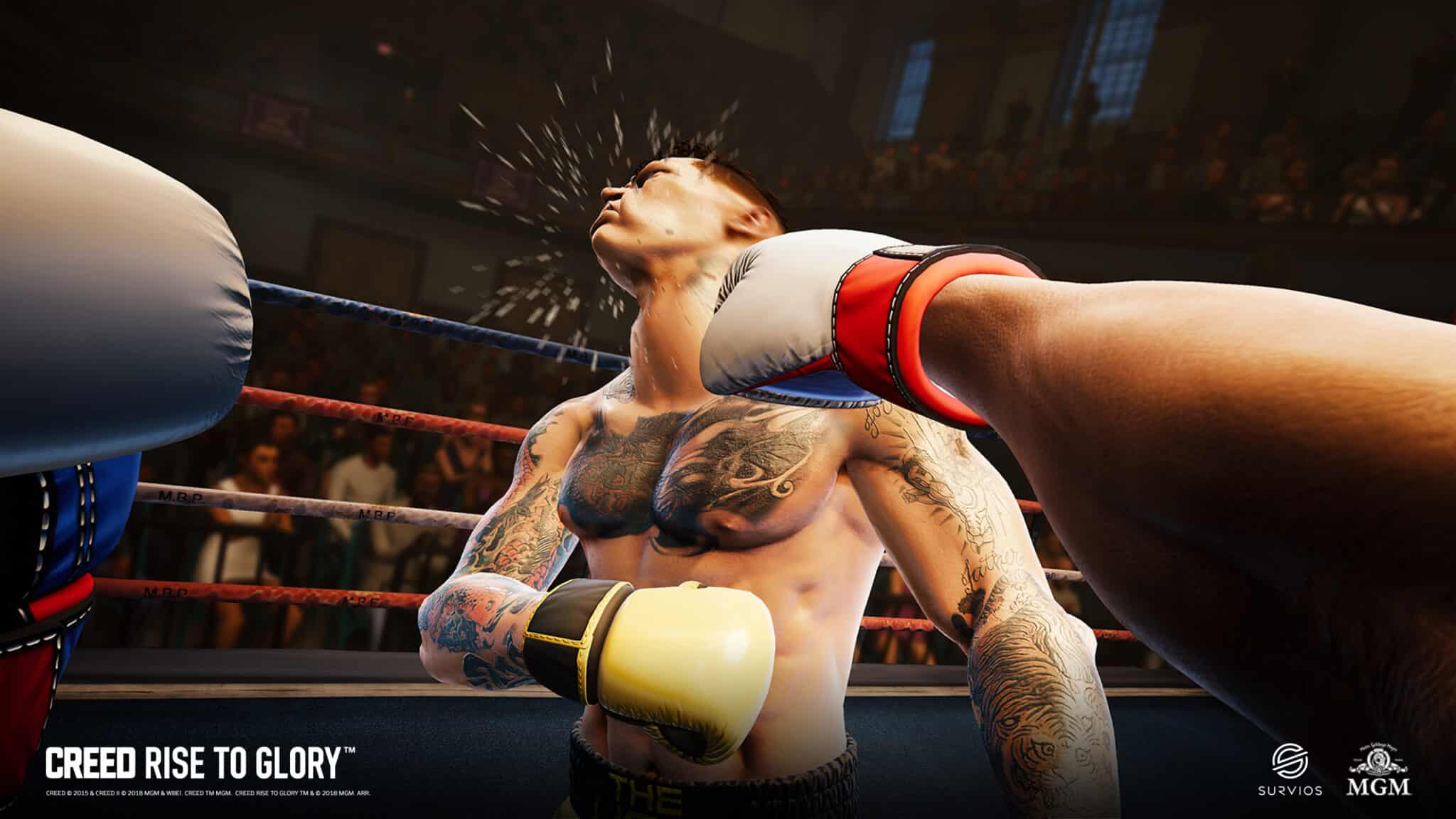Creed Rise to Glory - Championship Edition - изображение 3