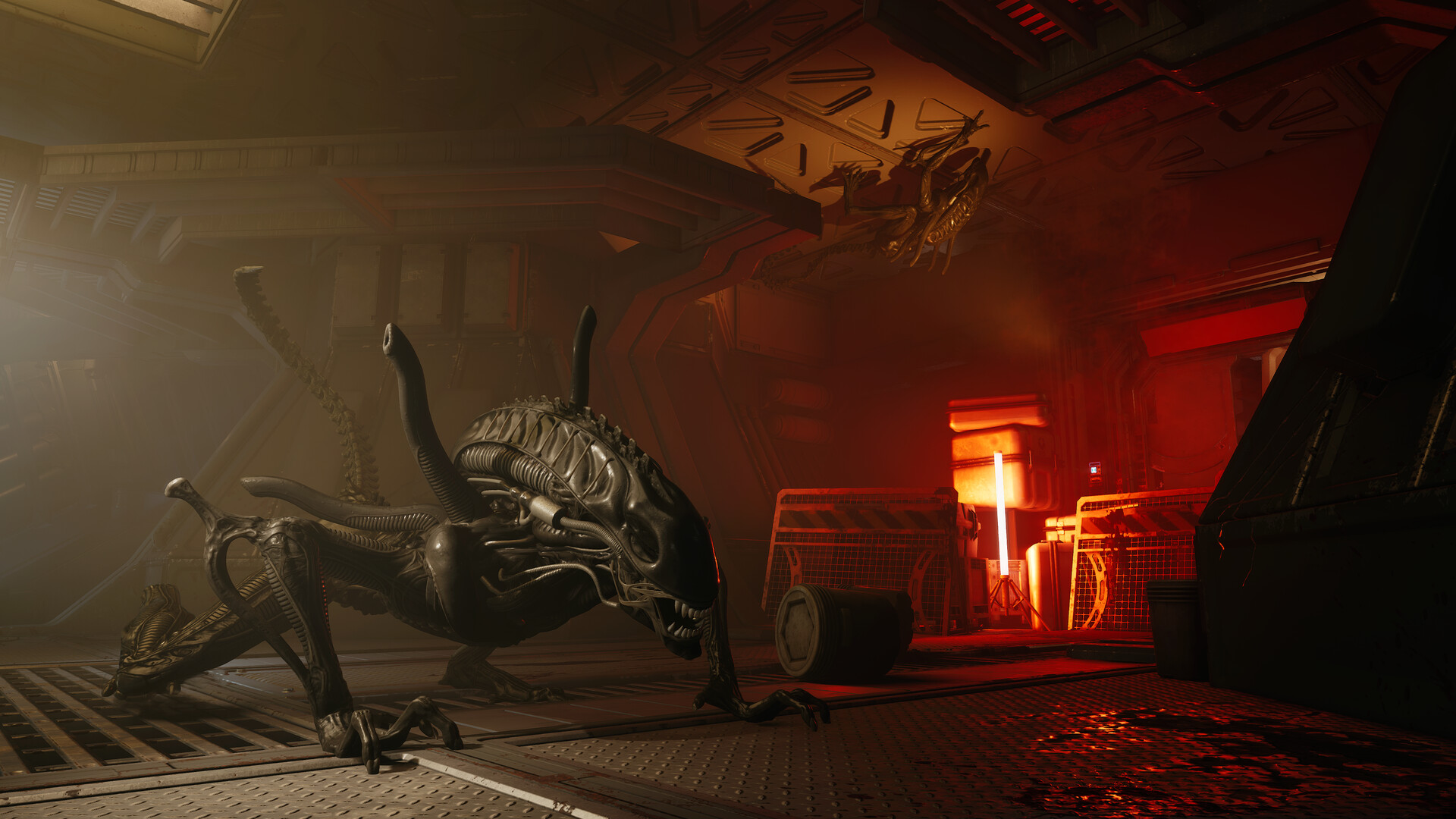 Alien Rogue Incursion